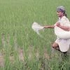 Aditya Birla Group fertiliser arm Grasim