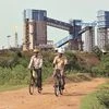 NCLAT permits lenders to meet, finalise bid for Bhushan Power & Steel
