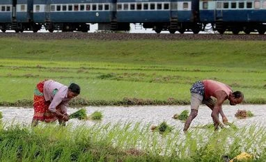 Maha farm loan waiver: Implementation slow due to late data submission agriculture, farmers