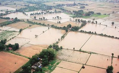 After 2 deaths in landslide, Jakarta braces for floods as sluice gates open Torrential rain, flood damage 25% kharif sowing in Gujarat