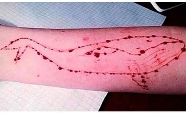 Delhi HC asks Centre to list the steps taken against Blue Whale game blue whale