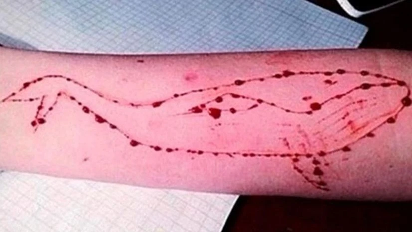 blue whale blue whale