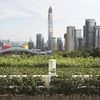 Ping An International Finance Centre, China