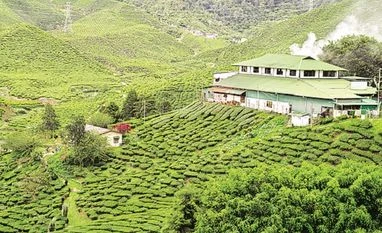 Representative image Representative image