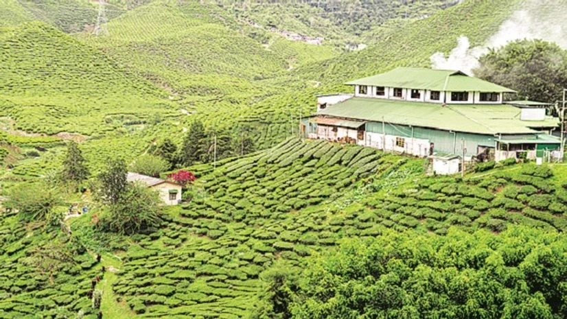 Representative image Representative image