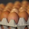 Beware! Eggs that can damage your kidneys, liver sold in 17 countries