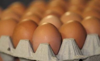 Contaminated eggs show continuing problems with supply chain Beware! Eggs that can damage your kidneys, liver sold in 17 countries