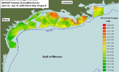 Gulf of Mexico 'dead zone' is already a disaster - but it could get worse Wikimedia Common