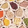 pulses, dal, moong, tur