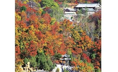 Unexplored destinations for the curious Indian traveller Shandong: 2 hours from Beijing (Home of Confucius; a curious mix of modern and ancient)