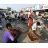 Locals in a vegetable market after relaxation in curfew in Sirsa on Sunday. Photo: PTI
