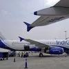 IndiGo