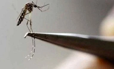 Global tally of malaria cases, deaths remained stable in 2021, says WHO Chikungunya, dengue, malaria sting New Delhi; over 1,700 people affected