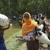 Members of Myanmar's Muslim Rohingya ethnic minority who were pushed back by Bangladeshi border guards earlier in the day rush back to the Bangladeshi side upon hearing gun shots from the Myanmar side in, Ghumdhum, Bangladesh. Photo: AP/PTI