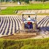 Agriculture