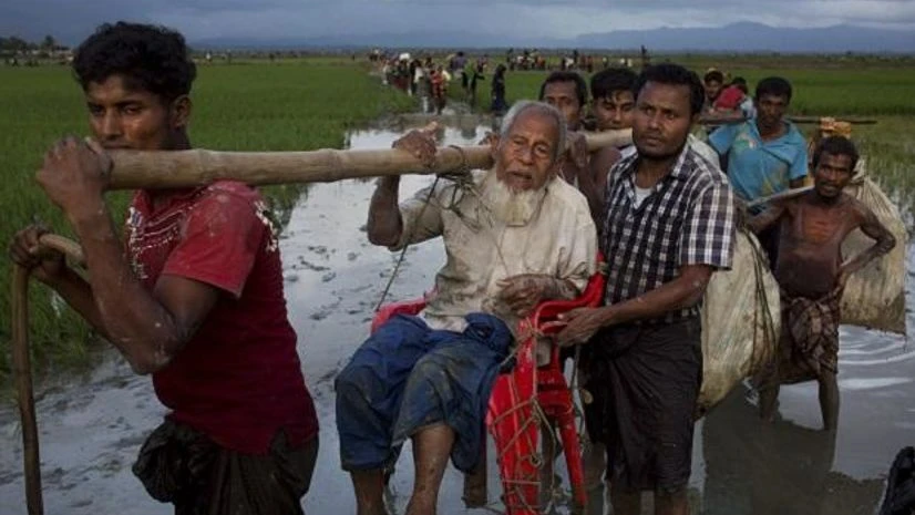 Ethnic Rohingya carry an elderly man and walk through rice fields after crossing over to the Bangladesh side of the border near Cox's Bazar's Teknaf area. Photo: AP | PTI Ethnic Rohingya carry an elderly man and walk through rice fields after crossing over to the Bangladesh side of the border near Cox's Bazar's Teknaf area. Photo: AP | PTI