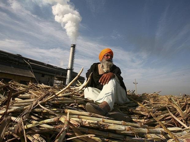 Cabinet approves Rs 8,500 cr bailout package for sugar industry Cabinet approves Rs 8,500 cr bailout package for sugar industry