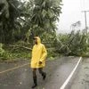 Hurricane Irma, Caribbean