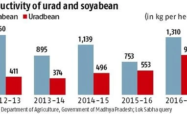 MP farmers shift from soybean to urad for better prospects, productivity infographic
