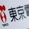 A Tokyo Electric Power Co (TEPCO) logo is pictured on a sign. Photo: Reuters