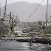Humacao : Electricity poles and lines lay toppled on the road after Hurricane Maria hit the eastern region of the island, in Humacao, Puerto Rico. Photo: PTI