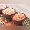 Uttar Pradesh govt to provide free pulses, oilseeds to 1 million farmers Pulses export policy change to take time to fructify