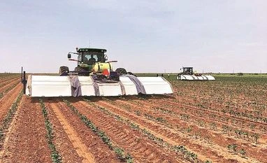 Blue River Technology Blue River Technology, a Silicon Valley start-up, is using computer vision powered by Nvidia Corp to help lettuce farmers boost productivity and reduce or reallocate labour costs photo: blue river technology