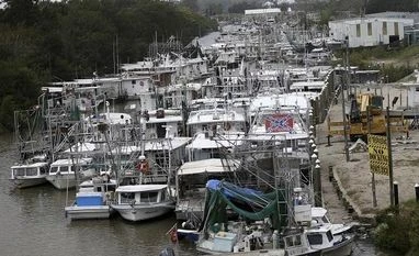 Hurricanes turn 2017 as worst year for insurers as they lose $135 bn Hurricane Nate