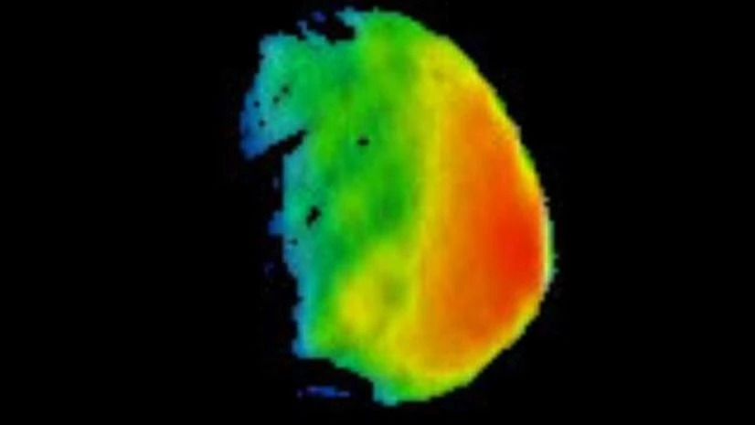 Photo: Twitter Photo: Twitter