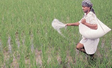 Chart check: How fertiliser stocks are faring ahead of Q3 nos, Budget 2021 fertiliser business, fertilisers, fertiliser biz