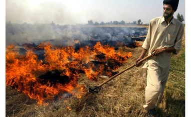 Come out with solution to stop crop burning: NGT to government Stubble burning
