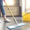 Maid, Domestic help