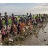 Palong Khali : Newly arrived Rohingya Muslims, who crossed over from Myanmar into Bangladesh. Photo: PTI