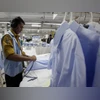 garment exports