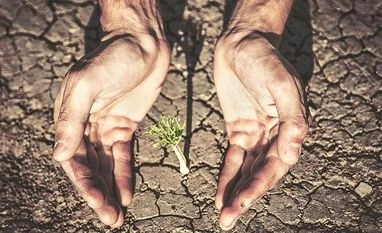 PMFBY, agriculture PMFBY, agriculture