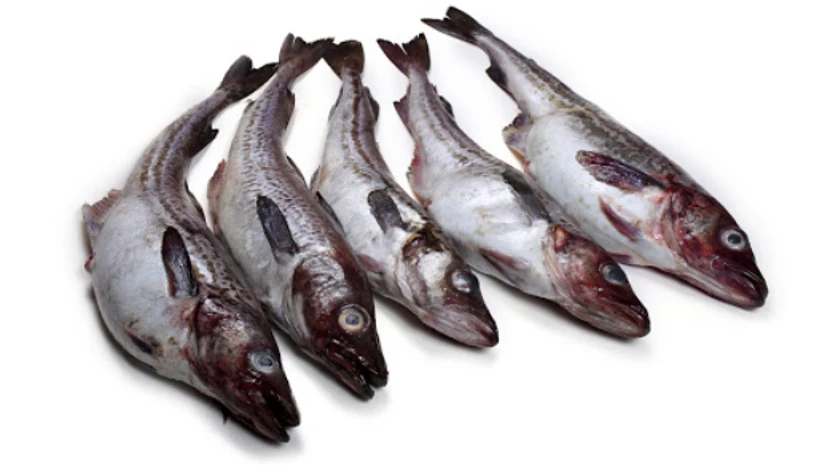 Alaska pollock fish Photo: Shutterstock