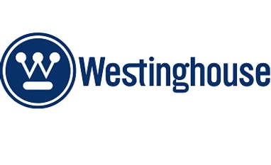 Financial turmoil in US won't impact India project: Westinghouse Westinghouse