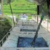 indigo dyeing