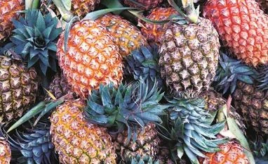 Canada okays import of Indian pineapple, mandarin five months after request Pineapple