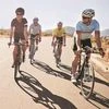 bicycles