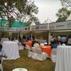 food stalls, world food India fair