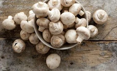 Scientists exploring medicinal mushrooms, Chinese herbs to treat Covid Mushroom