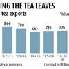 More crises brewing for Darjeeling tea
