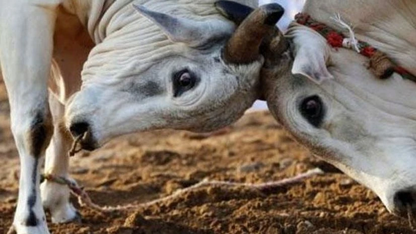 'Lack of oxygen in ambulance cost Argentinian tourist his life in Jaipur' 'Lack of oxygen in ambulance cost Argentinian tourist his life in Jaipur'