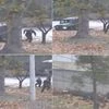 North Korean soldier, North Korea, killed, defector
