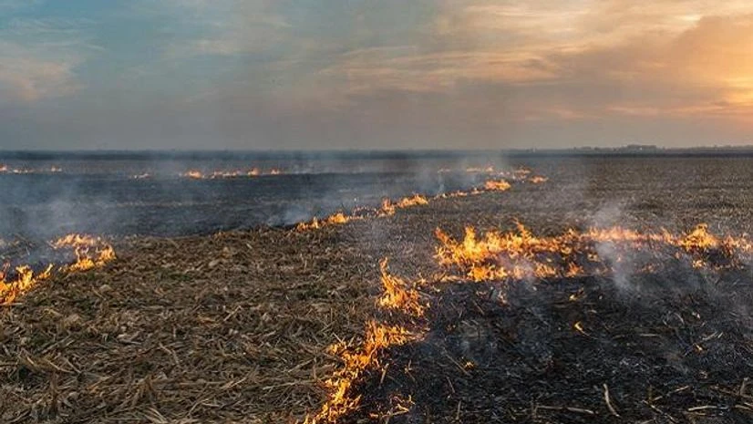 stubble burning stubble burning