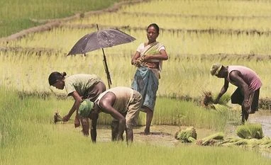 Making room for big ideas on taxes agriculture, farmers