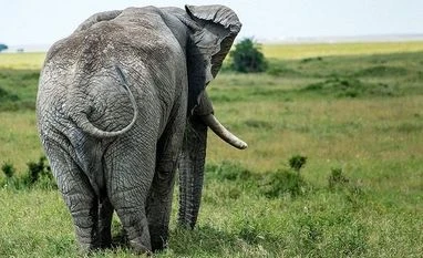 Cameras that will keep both amateurs and pros trigger-happy Photo