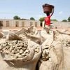 How Cashews Explain Globalization