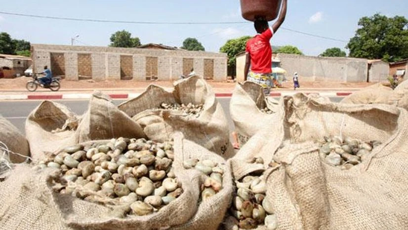 How Cashews Explain Globalization How Cashews Explain Globalization